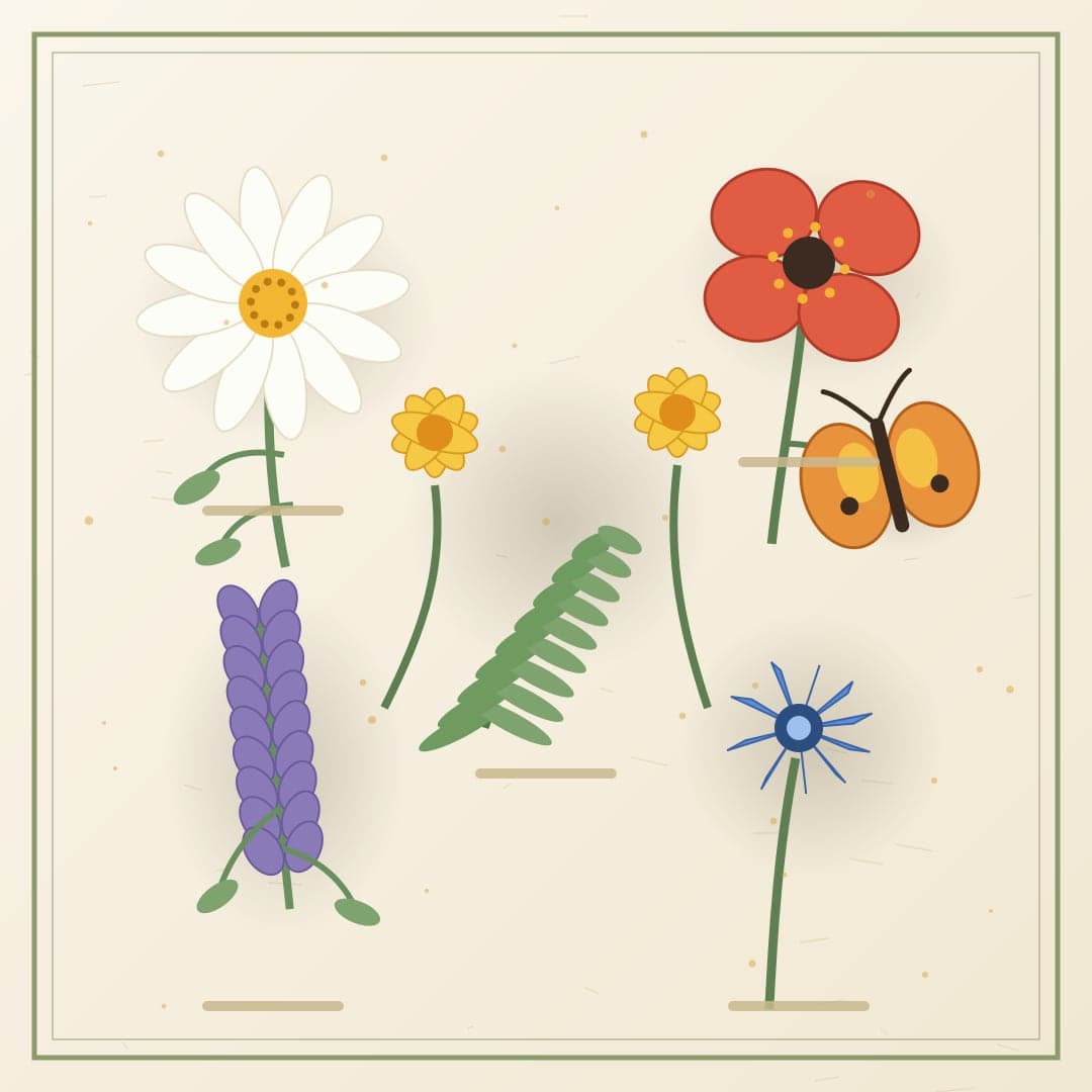Pressed Wildflower Meadow — Botanical Herbarium Vector — free vector preview
