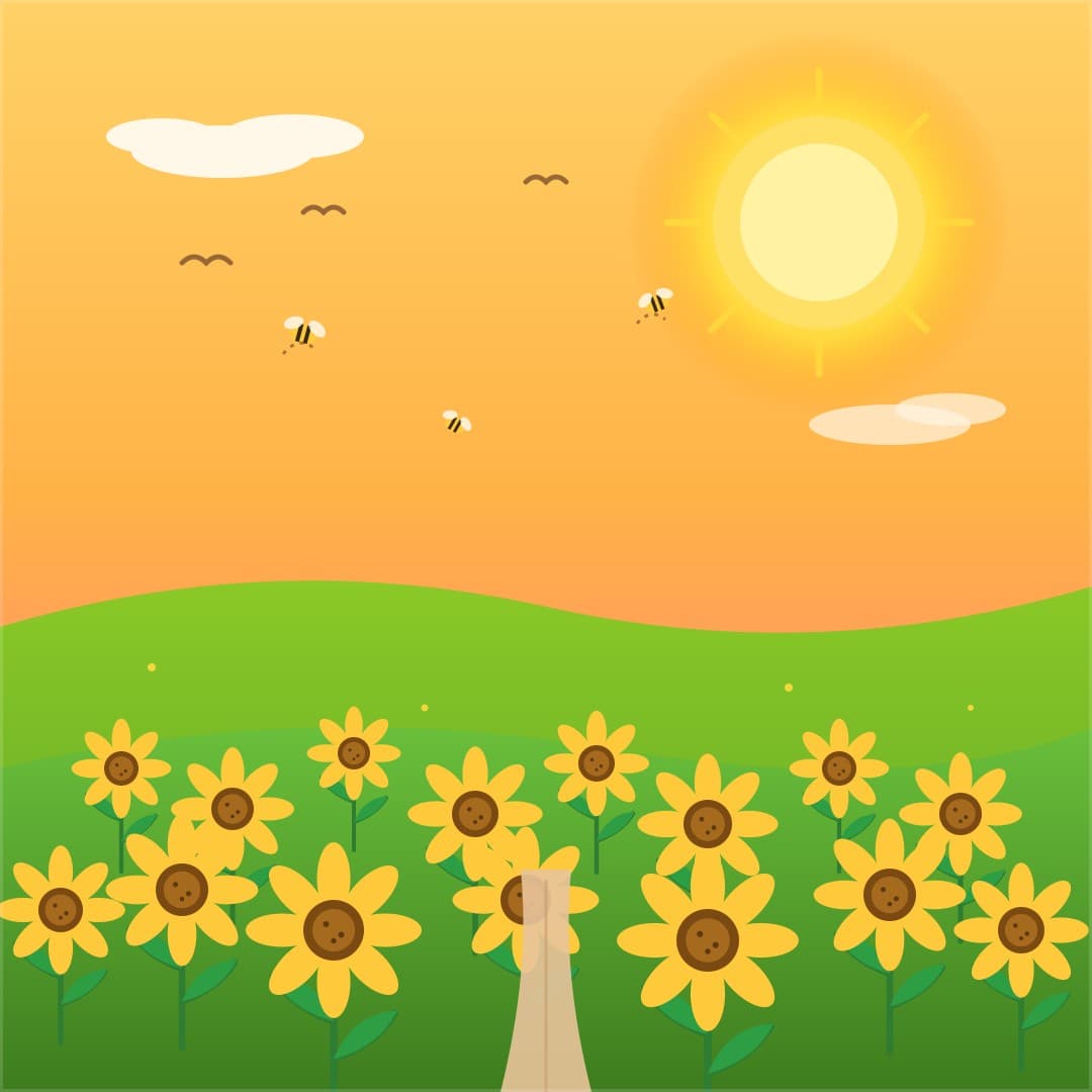 Golden Sunflower Field at Sunset — Botanical Landscape Vector — free vector preview