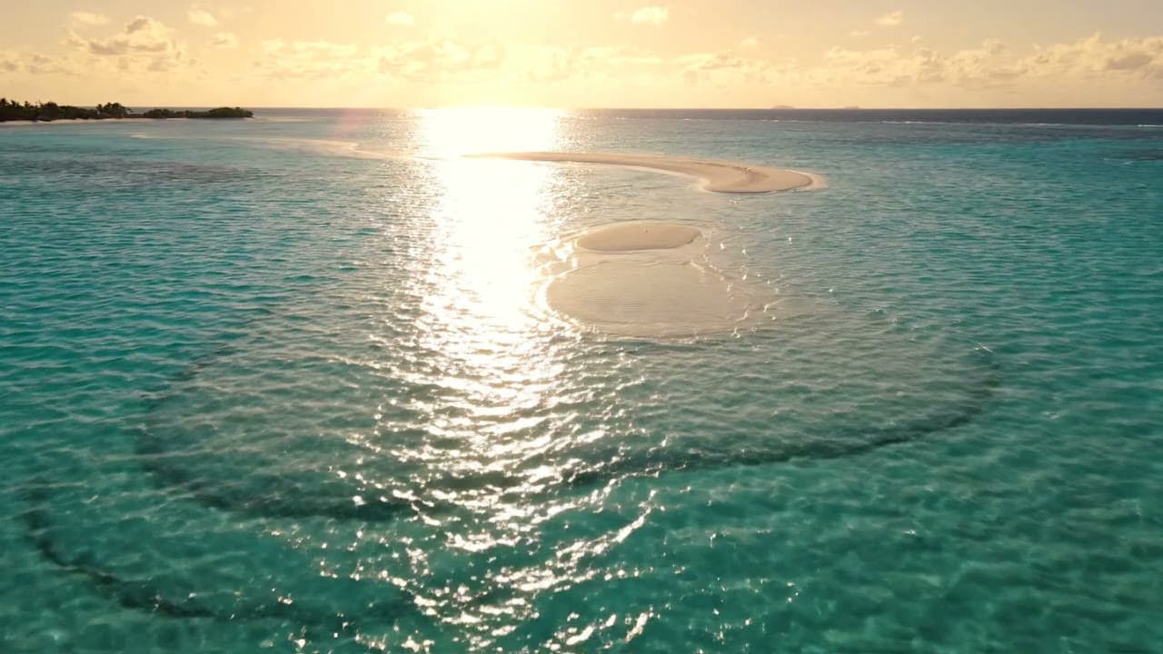 Turquoise Lagoon Sandbars From Above — Aerial Stock Video