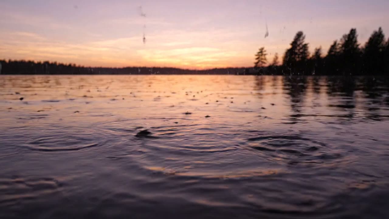 Rain Falling on a Calm Lake at Dusk — Free AI Stock Video