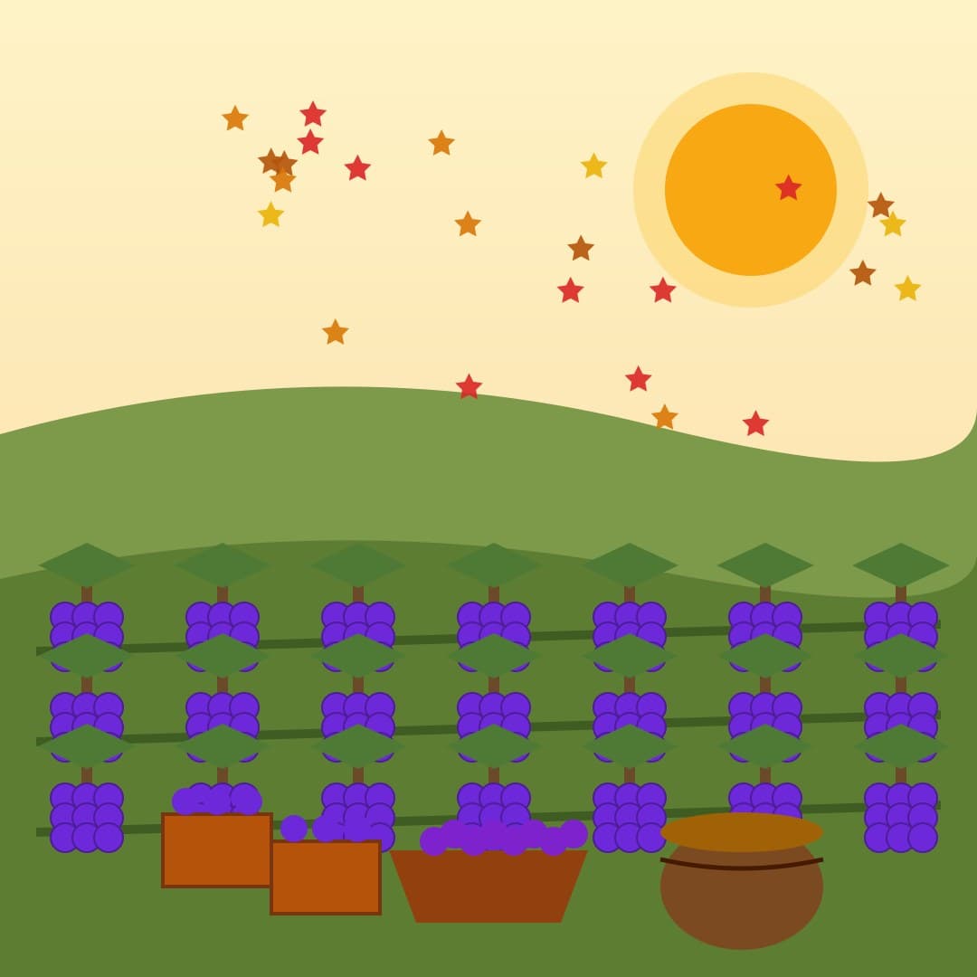 Autumn Vineyard Harvest — Grape Harvest Vector — free vector preview