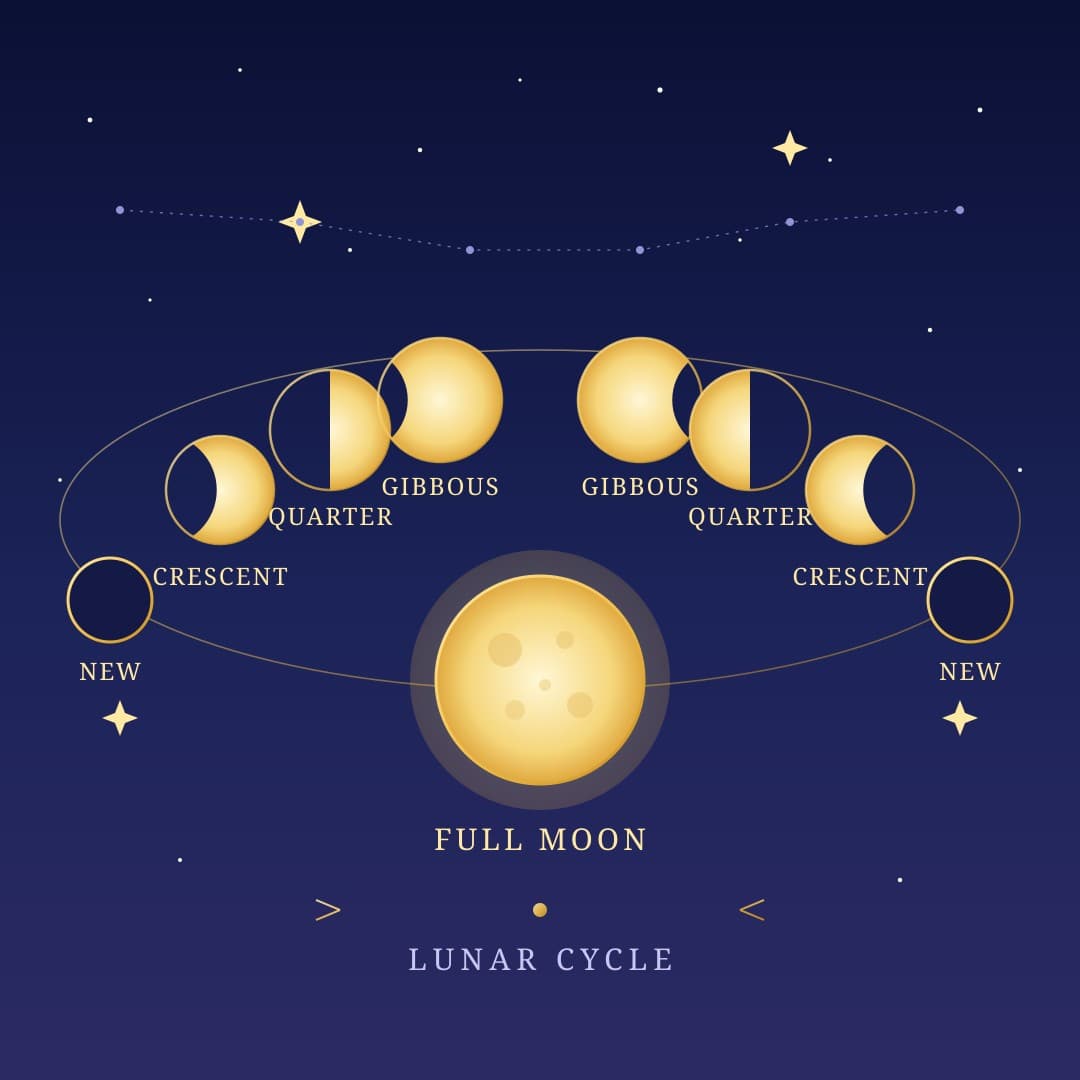 Moon Phases Arc — Celestial Lunar Cycle Vector